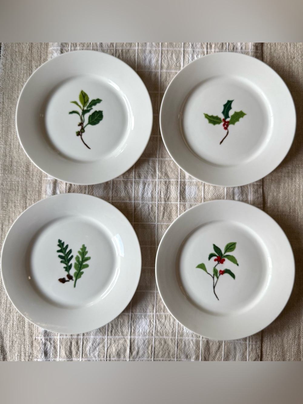 Vintage Crate & Barrel "Sprigs" Holiday Botanical Salad/Dessert Plates,Set/4, 8”